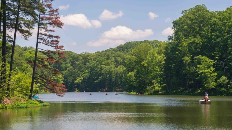 Lake Vesuvius Recreation Area at Wayne National Forest in Ohio