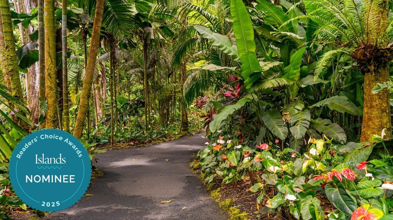 Paved trail in Hawaii Tropical Botanical Garden, Big Island