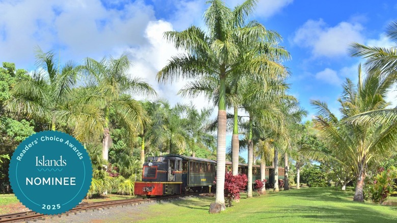 Train running on palm tree lined track at Kauai Plantation Railway