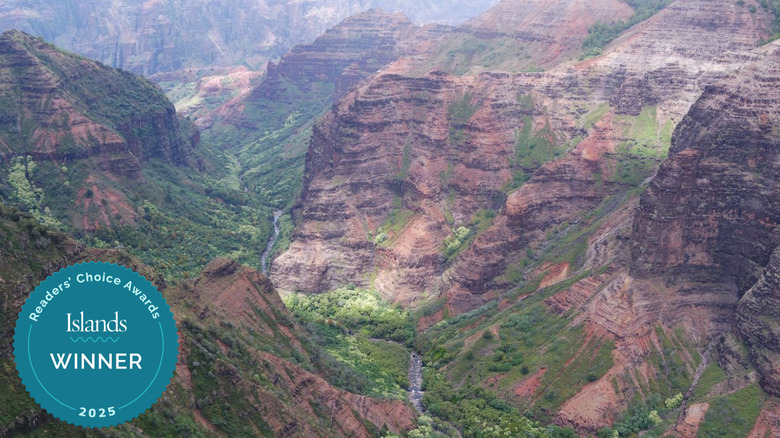 Aerial view of Waimea Canyon State Park