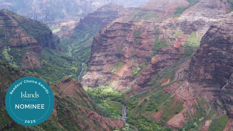 Aerial view of Waimea Canyon State Park