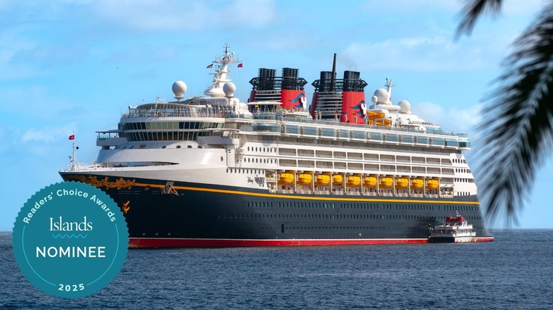 Disney Wonder cruise ship at sea