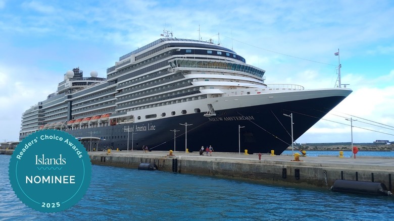 Nieuw Amsterdam, Holland America Line at port