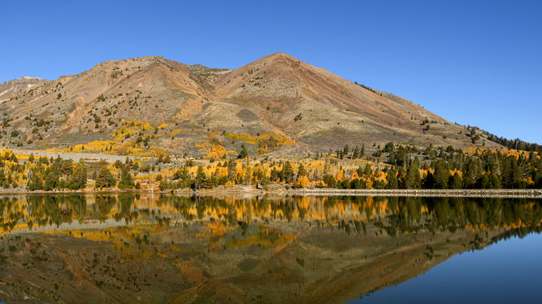 Autumn landscape of Sierra Nevada and Red Lake surrounded by pine trees and colorful fall aspen trees.
