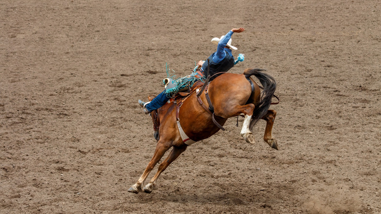 Cowboy riding a bucking bronco at a rodeo.