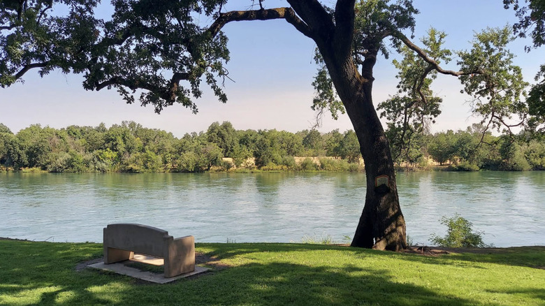 Bench overlooking the Sacramento River in Anderson, California