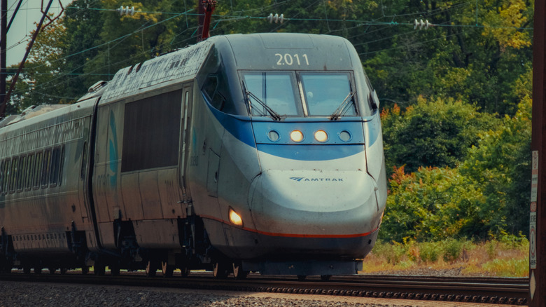 Amtrak passenger train passing through the woods