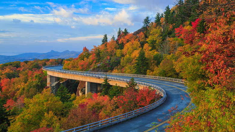 Fall foliage and winding part of Blue Ridge Parkway
