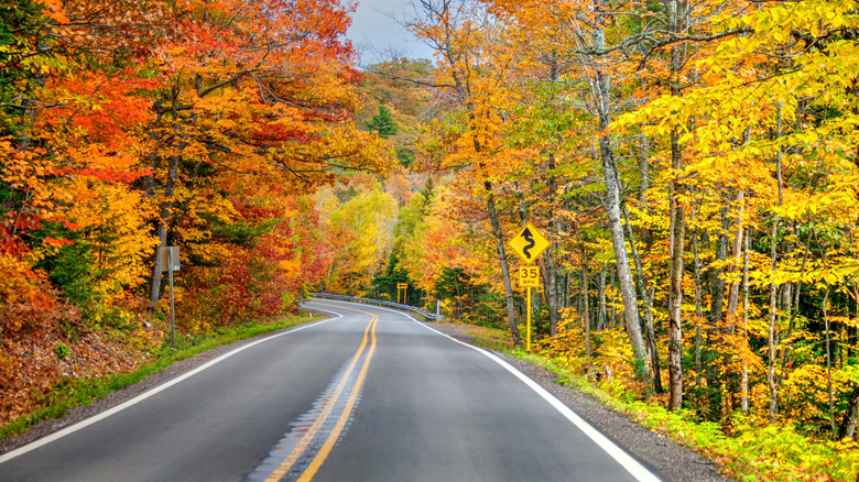 Fall foliage along U.S. 41
