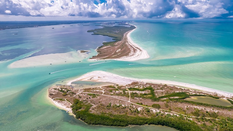Honeymoon Island in Florida