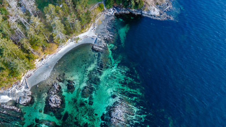 Pebble beaches shrouded in forests in North Saanich