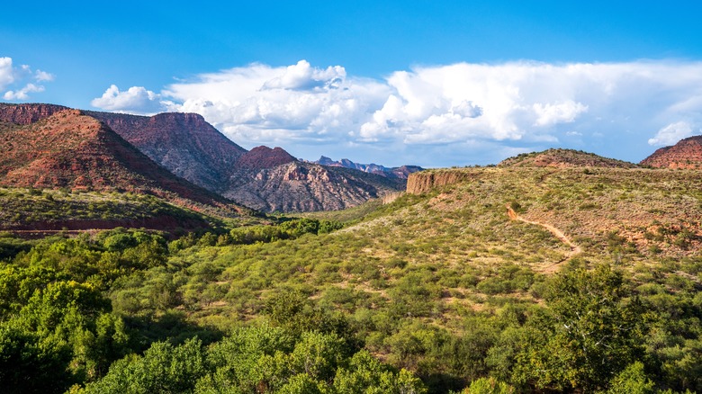 distant mountains visible from the Verde Canyon Railroad train in Clarkdale, Arizona