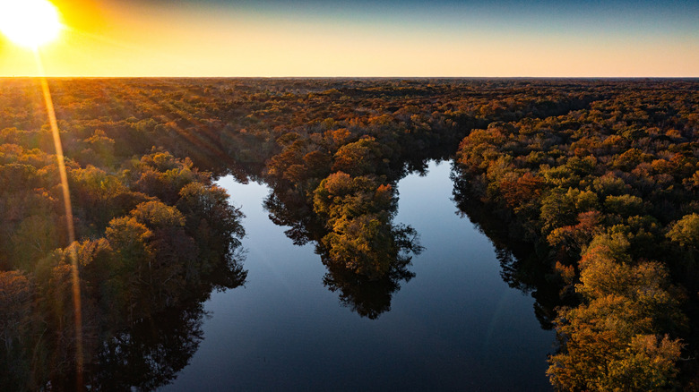 Tar River flowing through lush forest at sunset near Tarboro, North Carolina