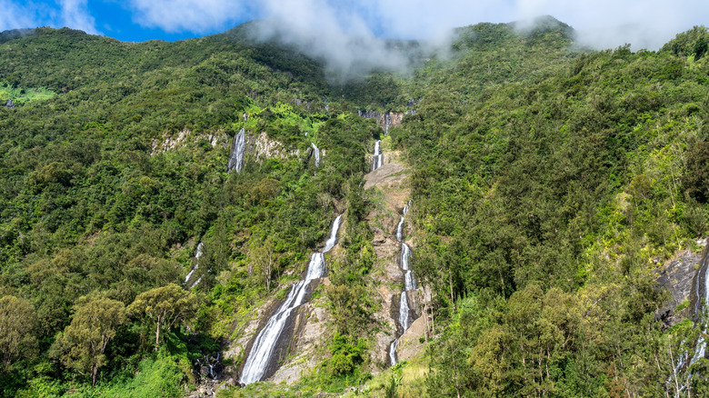 Bridal Veil Falls waterfall streaming through green forest on Reunion island