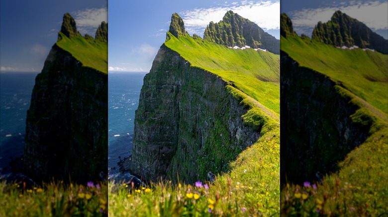 The Hornbjarg Cliffs in Iceland's Westfjords