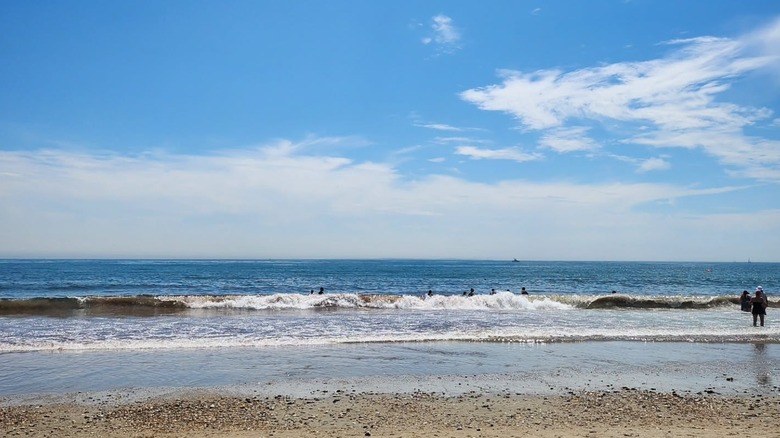 People swim in the sea at East Matunuck Beach