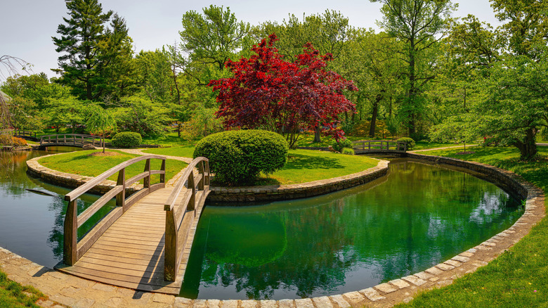 The serene Japanese Garden at Roger Williams Park in Providence, Rhode Island