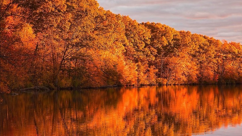 View of Olney Pond in fall
