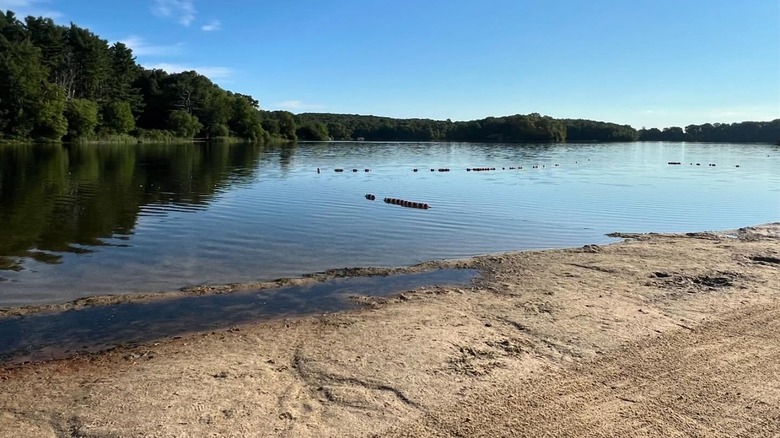 View of swim beach in summer