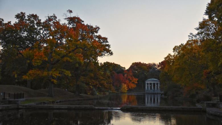 Pond and fall foliage at ﻿Roger Williams Park