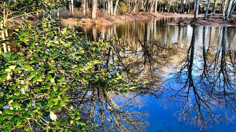 Potter Pond in Rhode Island