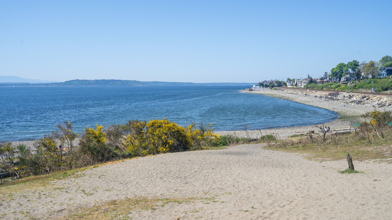 The sands of the Richmond Beach Saltwater Park stretch along the shores of the Puget Sound near Seattle