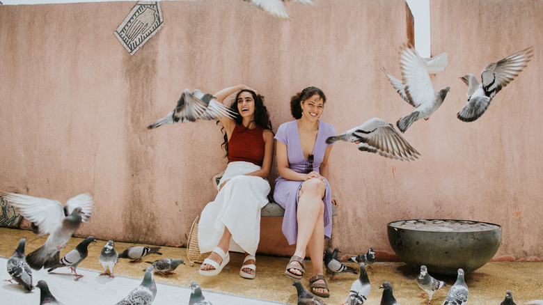 Two laughing women sitting on a bench surrounded by pigeons in Italy
