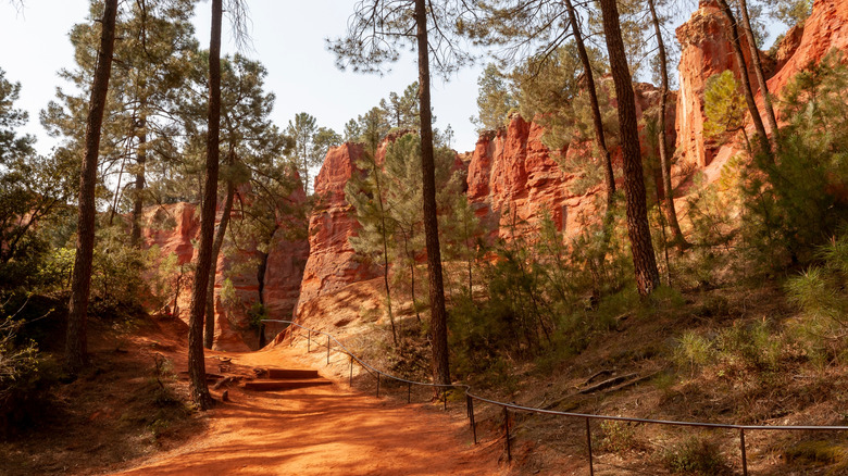 View of path through Luberon Natural Regional Park