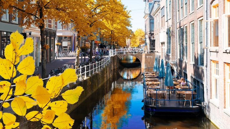 Delft is a 'mini-Amsterdam' without crowds