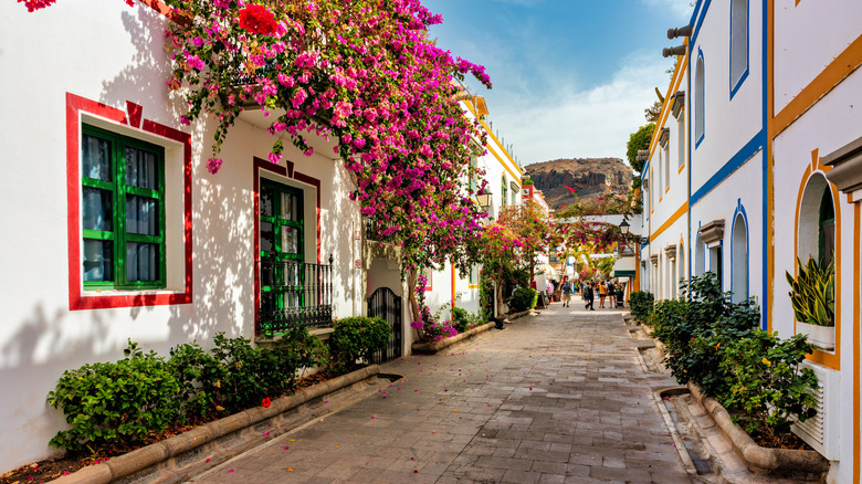 A street in Gran Canaria, Spain with vibrant flowers and white buildings