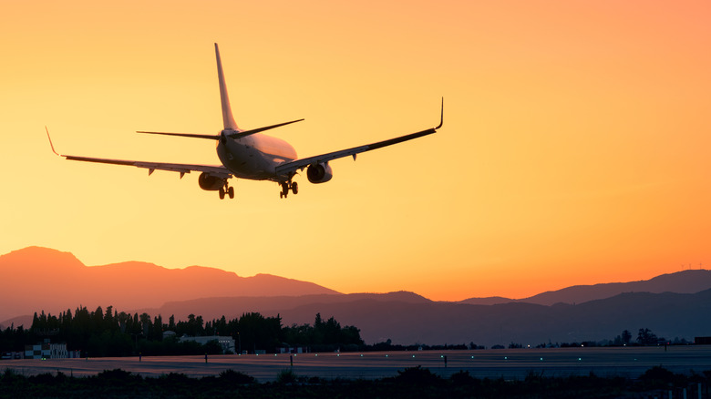 Airplane landing at sunset