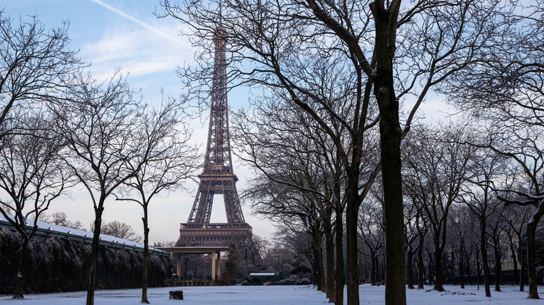 Eiffel Tower and bare trees in the snow