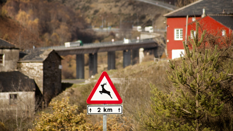 warning sign for deer