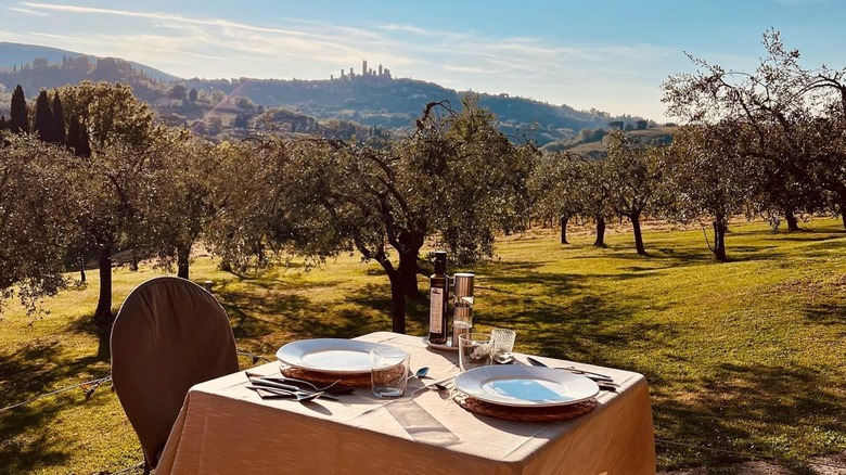 Al Fresco dining at Agriturismo Il Segreto di Pietrafitta San Gimignano, Italy