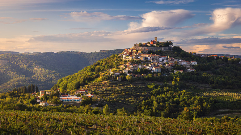 A Croatian town on a lush hill with clouds in the distance
