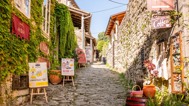 Vines overgrow shops and cafes on a narrow stone street