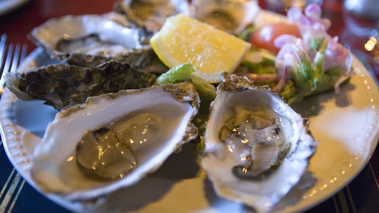 Plate of Donegal oysters on the half shell with lemon