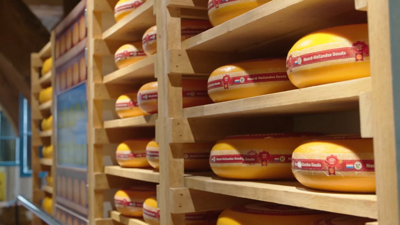A wall of cheese at the Dutch Cheese Museum in Alkmaar, Netherlands