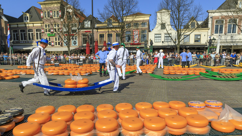Cheese market in Alkmaar, Netherlands, right outside the Dutch Cheese Museum