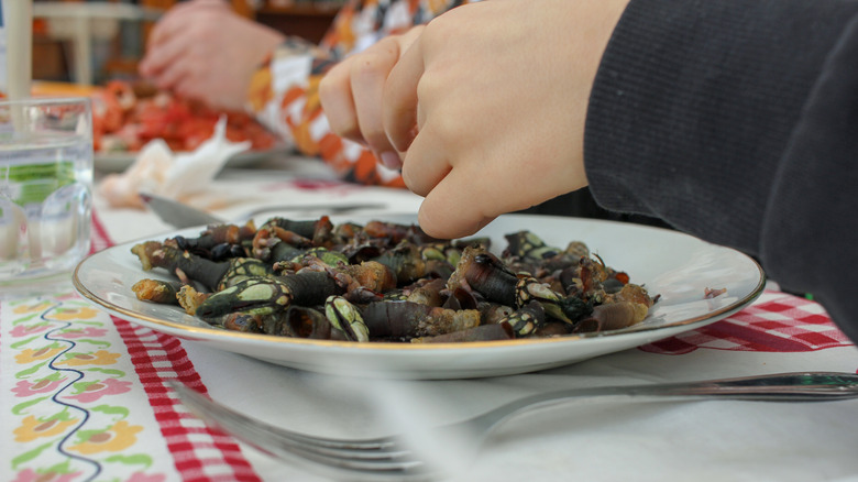 Barnacles on a plate with a person's hands in the photo
