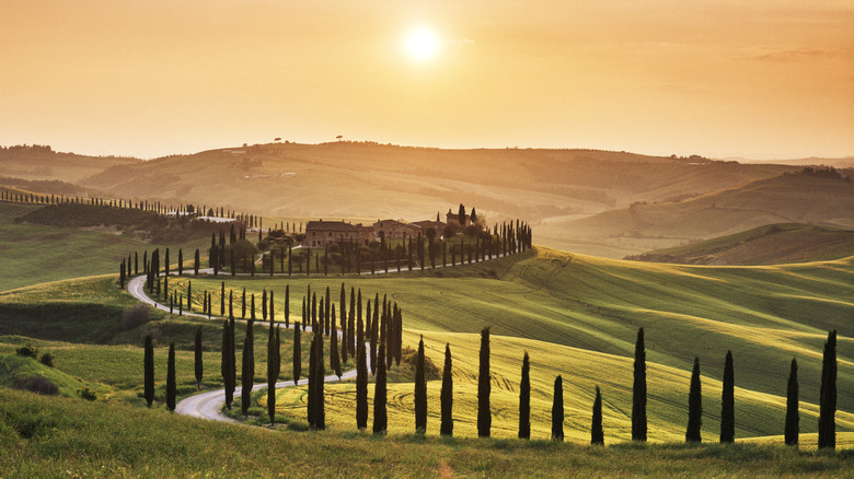 Winding road in Tuscany