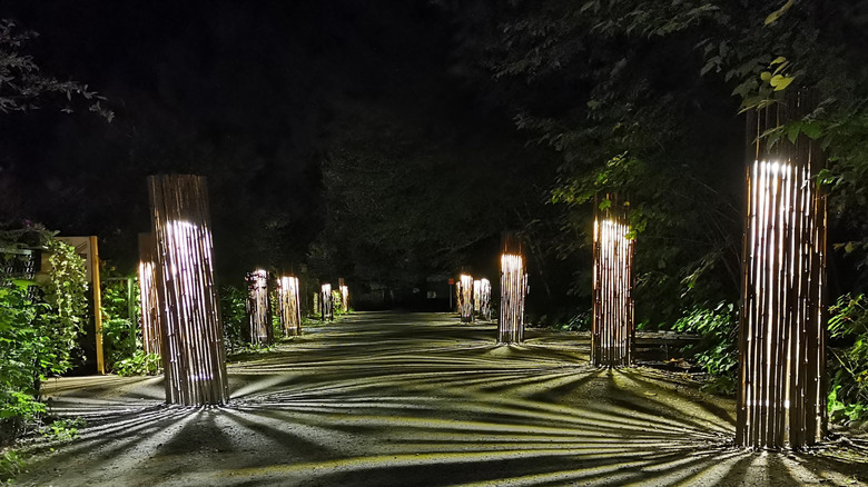 Foresta Lumina, an illuminated night show, in Coaticook Gorge Park, Coaticook, Quebec, Canada