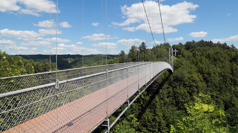 The trail across the Coaticook Suspended Footbridge in Coaticook Gorge Park, Coaticook, Quebec, Canada