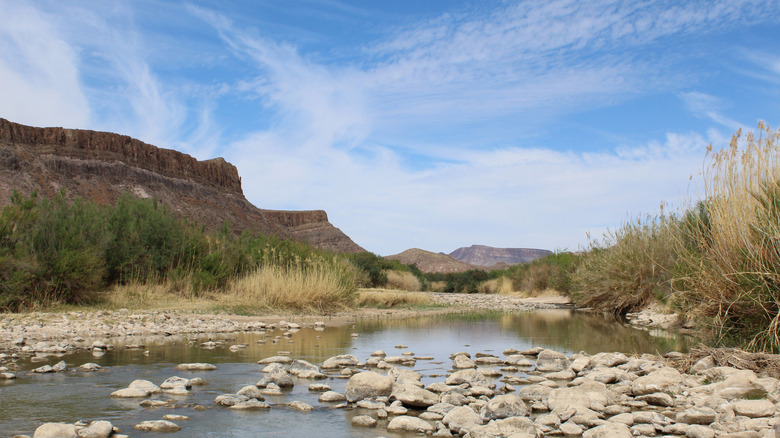 Cliffs and pond views at Big Bend Ranch State Park