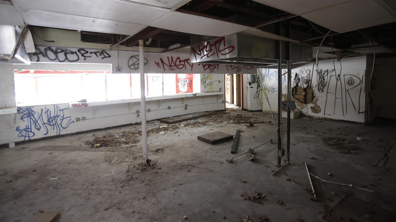 Graffiti-covered walls in abandoned zoo at Belle Isle