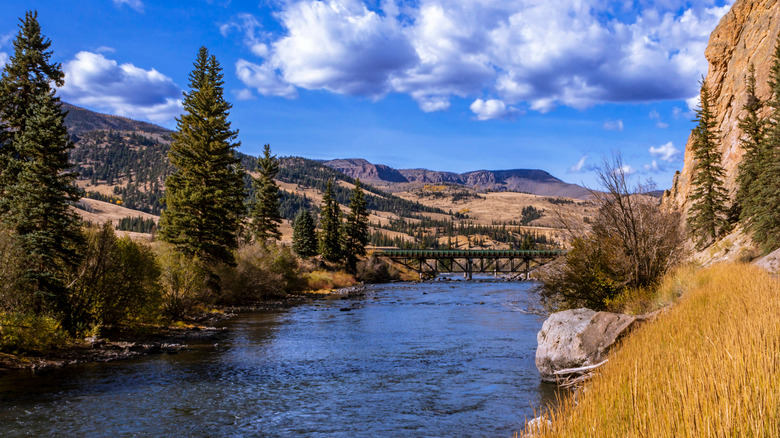 The Rio Grande near Creede, Colorado