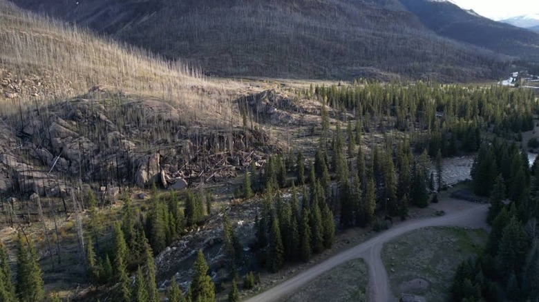 An aerial view of a forest and campground