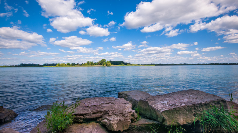 Detroit River shoreline