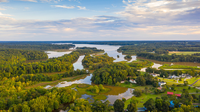 Georgia's Lake Oconee surrounded by trees