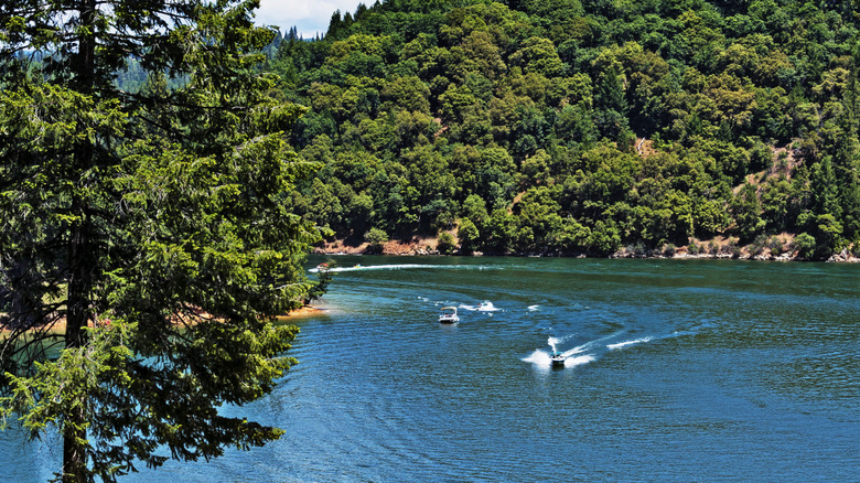 Two boats on Rollins Lake pulling water skiers with green trees in the background.